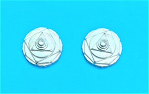 16ae115a16549e619cd9007e91dbda3e_1625561646_7685.jpg